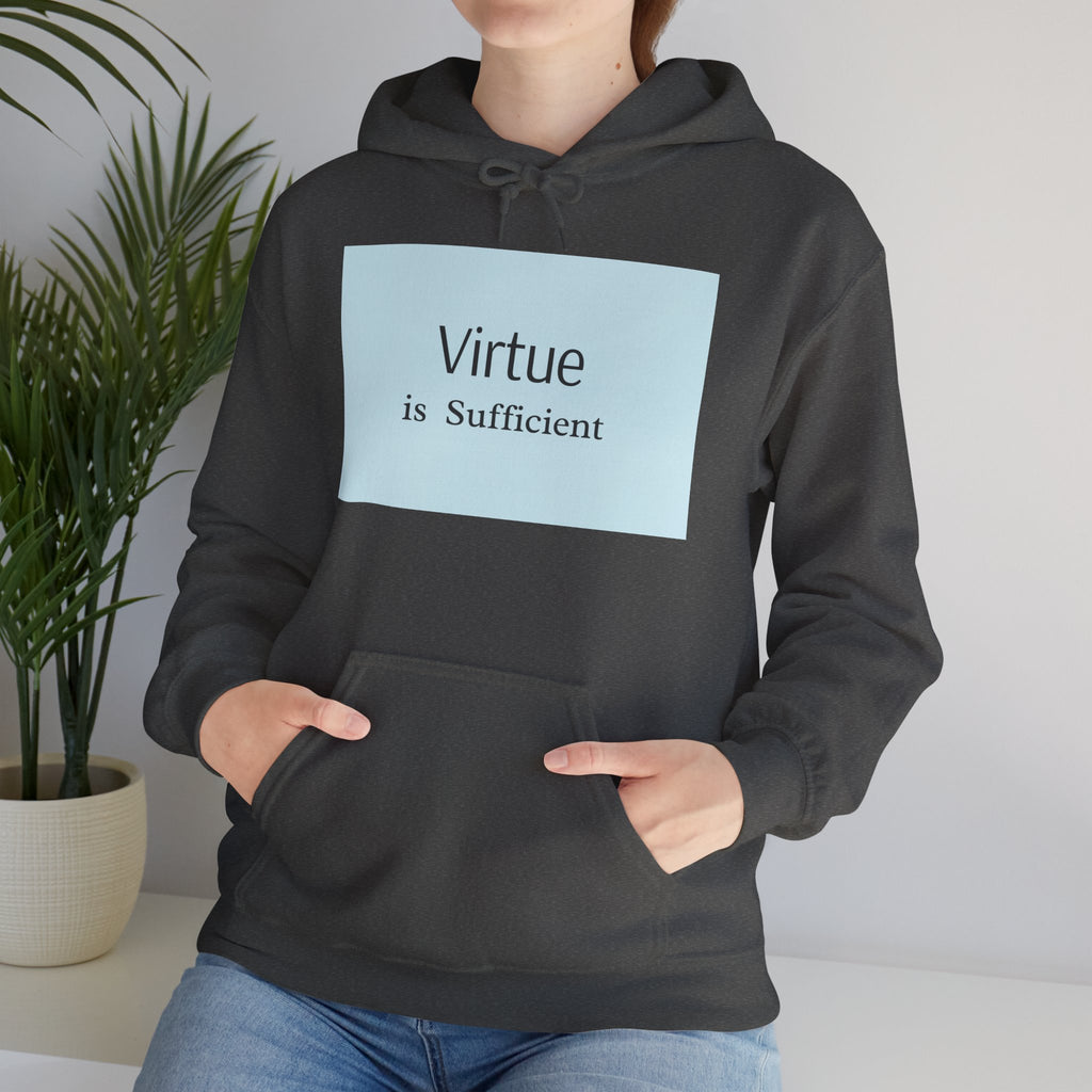 Virtue Is Sufficient Hoodie — Minimalist Inspirational Pullover