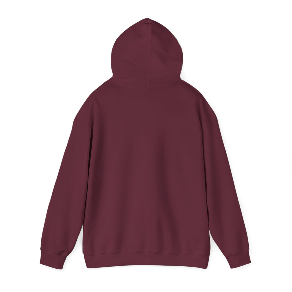 View From Above Hoodie - Minimal Text Graphic Pullover