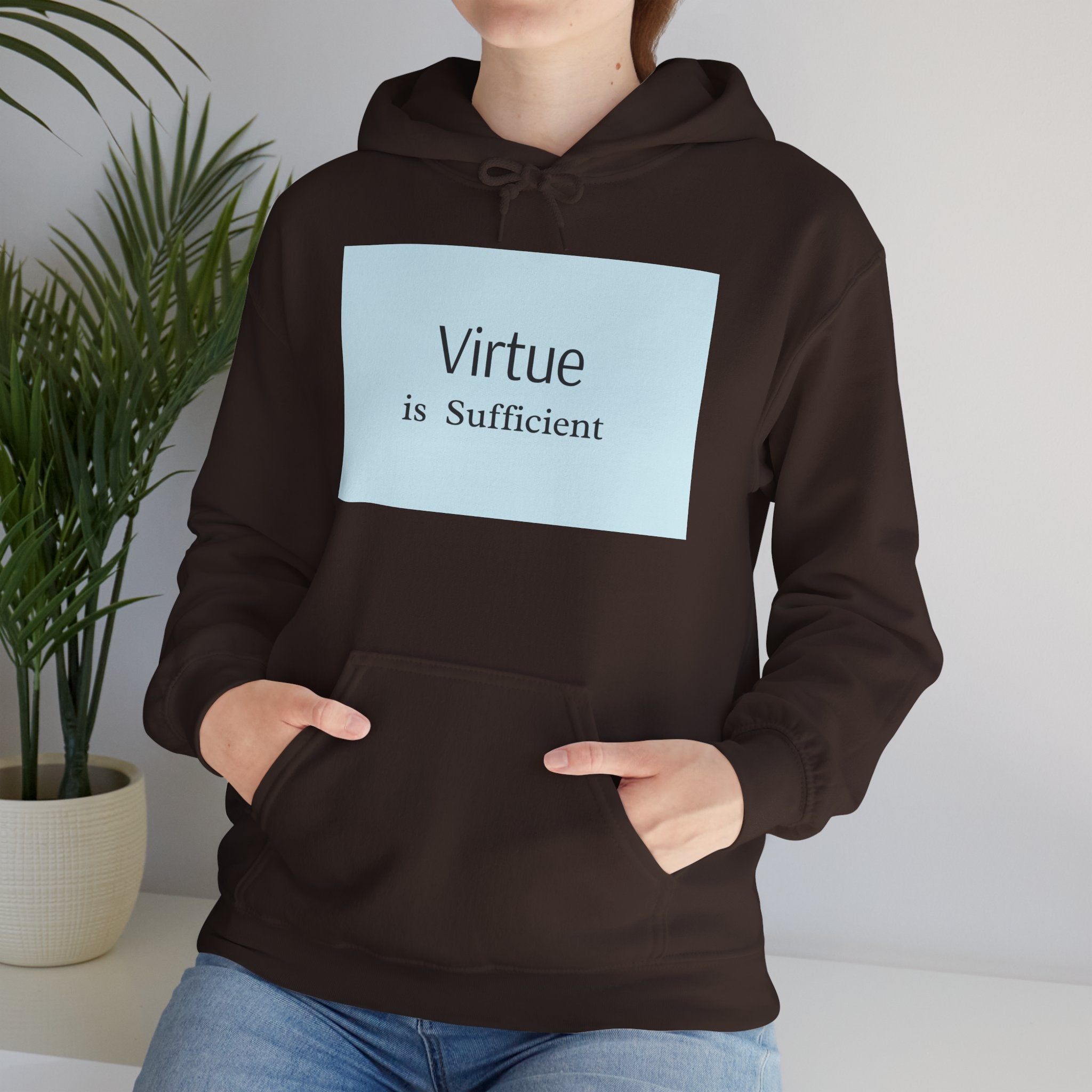 Virtue Is Sufficient Hoodie — Minimalist Inspirational Pullover