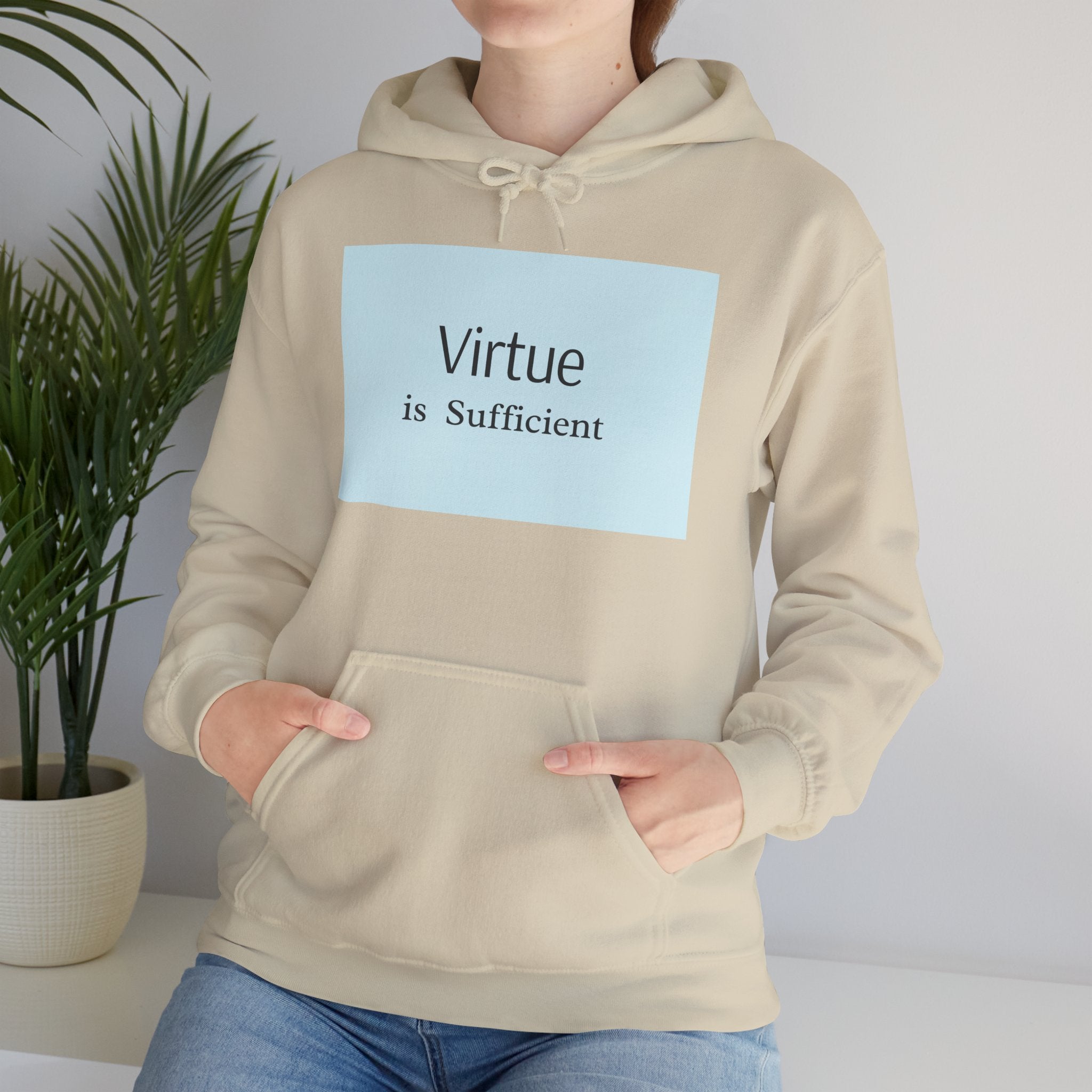 Virtue Is Sufficient Hoodie — Minimalist Inspirational Pullover